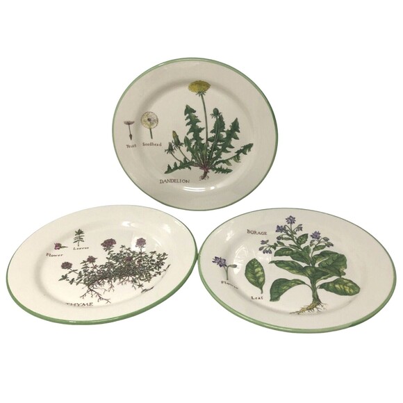 Williams Sonoma Culinary Herbs Luncheon Plates 8.75" Salad Portugal Set of 3 - Picture 2 of 12